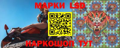стаф Камышлов