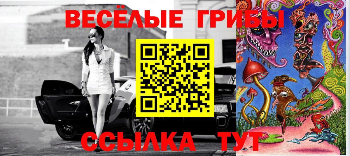 Киселёвск  Галлюциногенные грибы GOLDEN TEACHER  Вход с VPN  Галлюциногенные грибы Cubensis 